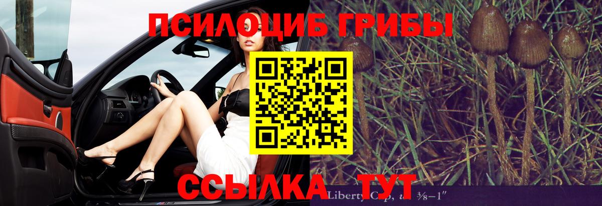 Галлюциногенные грибы прущие грибы  Вход с VPN  Топки 